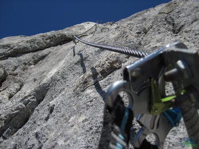 Dechberoucí Königsjodler