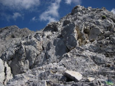 Dechberoucí Königsjodler