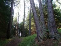 Via ferrata Sci club 18 - trojmodřín
