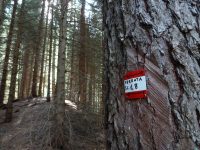Via ferrata Sci club 18 - směr k ferratě