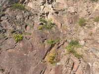 Kurt und Georg Löwinger Steig