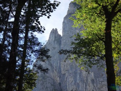 Cestou na Drachenwand