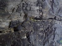 Grands Malades (Beez)