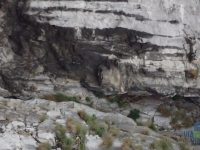 Grands Malades (Beez)