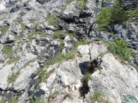 Attersee Klettersteig