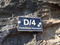 Pošetilost mocných