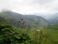 Tristkogel Klettersteig