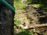 Postalmklamm Klettersteig