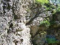 Ernst - Graf - Hoyoschsteig