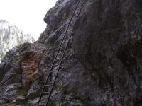 Teufelsbadstubensteig