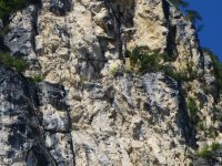 Via dell' Amicizia (Cima S.A.T.)