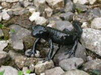 Tajakante - Klettersteig