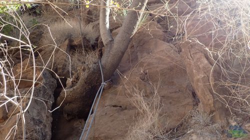 Kvalitní kotvení za strom