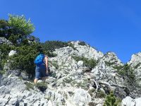 Naturfreundesteig - Traunstein
