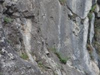 City Wall Klettersteig - Bergspezl Route