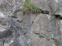 City Wall Klettersteig - Salewa Route