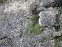 City Wall Klettersteig - Salewa Route