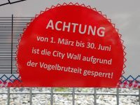 City Wall Klettersteig