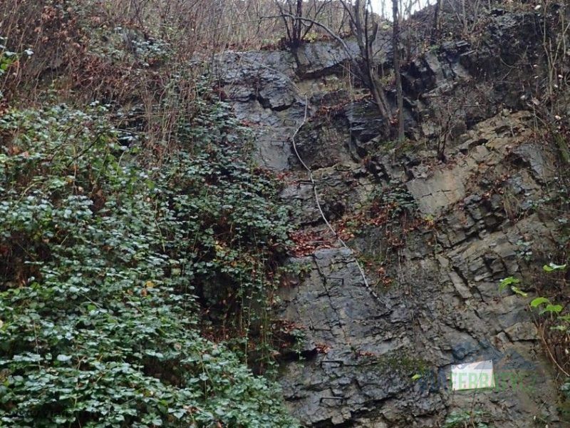 Fond-des-Cris - Chaudfontaine 1