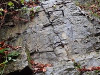 Fond-des-Cris - Chaudfontaine 1