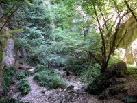 Ferrata Rio Sallagoni