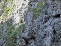 Rosina - nástup na ferratu