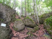 Via Ferrate Bambini - Kinderklettersteig