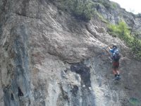 Grünsteig - Hotelroute