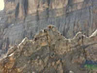 Via Ferrata Marino Bianchi