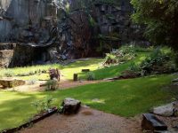 Je zde i hřiště na petangue.