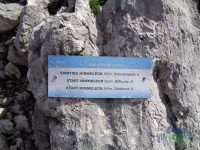 Himmeleck - Krippenstein