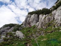 Himmeleck - Krippenstein