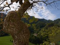 Mammut Klettersteig - Beisteinmauer