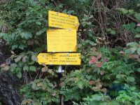 Wachthüttelkammsteig