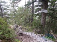 Wachthüttelkammsteig