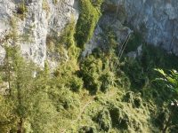 Nepal Brücke - Beisteinmauer