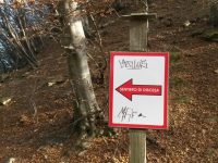 Via Ferrata degli Artisti