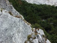 Eisenerzer Steig - Klettersteig