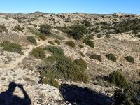 Via Ferrada de Montsant