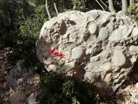 Via Ferrada de Montsant