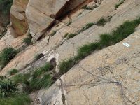 Via ferrata Shelter Rock - zarostlý traverz.