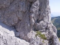 Via ferrata Däumling