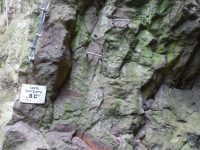 Slánská hora - Cesta přátelství