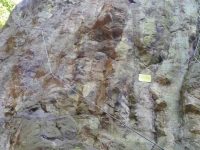 Slánská hora - Cesta přátelství