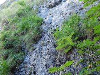 Dalfazer Wasserfall – Klettersteig Buchau