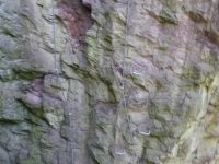 Slánská hora - Masochyst