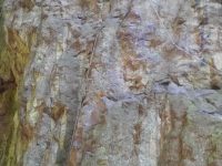 Slánská hora - Richtrovka