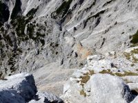 Königschusswand Steig