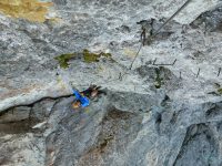 Via-ferrata-Elfer-Nordwand-8