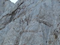 Via-ferrata-Stodertalersteig-1